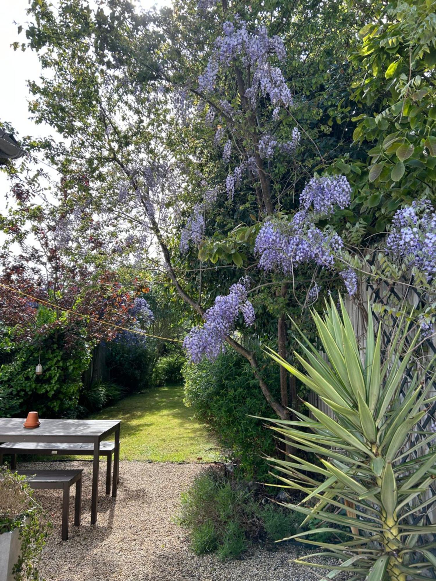 Sea Song Cottage Broadstairs Εξωτερικό φωτογραφία